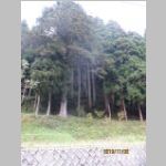 CurrentGraveAtOimatsu